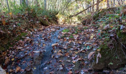 Photo #23 of SOLD property in Off Merricks Drive, Callands, VA 7.6 acres