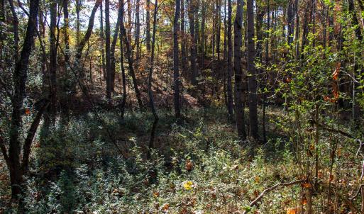 Photo #24 of SOLD property in Off Merricks Drive, Callands, VA 7.6 acres