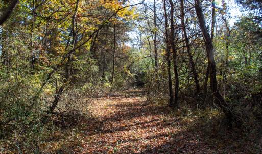 Photo #25 of SOLD property in Off Merricks Drive, Callands, VA 7.6 acres