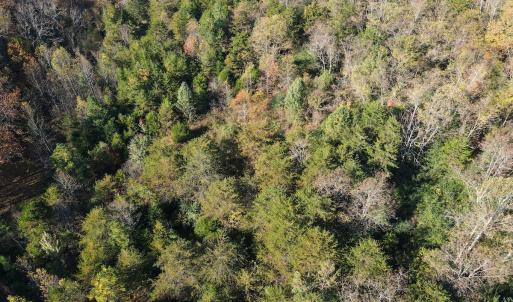 Photo #26 of SOLD property in Off Merricks Drive, Callands, VA 7.6 acres