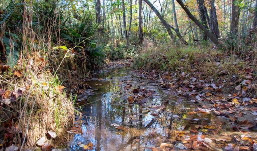 Photo #29 of SOLD property in Off Merricks Drive, Callands, VA 7.6 acres