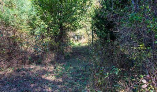 Photo #31 of SOLD property in Off Merricks Drive, Callands, VA 7.6 acres