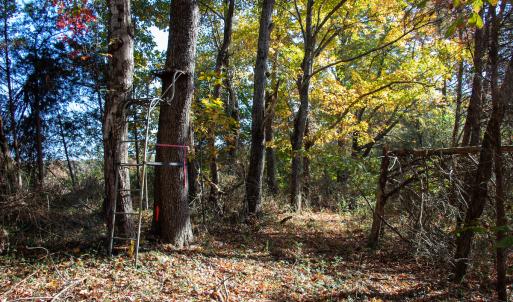 Photo #32 of SOLD property in Off Merricks Drive, Callands, VA 7.6 acres