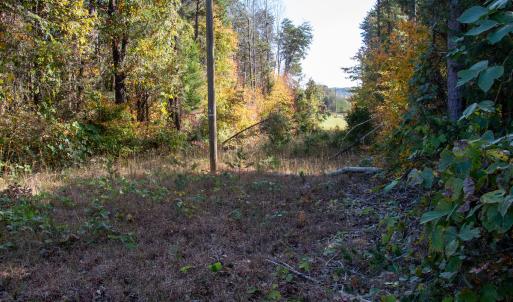 Photo #13 of Off Yeatts Store Rd, Java, VA 7.6 acres