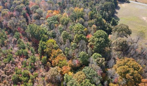 Photo #14 of Off Yeatts Store Rd, Java, VA 7.6 acres