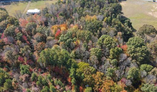 Photo #15 of Off Yeatts Store Rd, Java, VA 7.6 acres