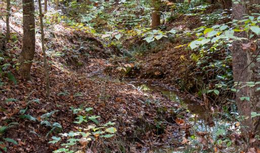 Photo #16 of Off Yeatts Store Rd, Java, VA 7.6 acres