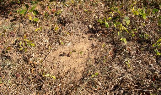 Photo #17 of Off Yeatts Store Rd, Java, VA 7.6 acres
