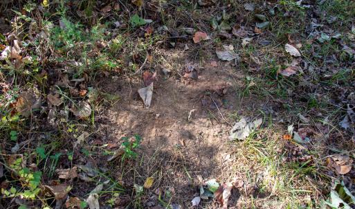 Photo #18 of Off Yeatts Store Rd, Java, VA 7.6 acres