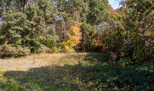 Photo #4 of Off Yeatts Store Rd, Java, VA 7.6 acres