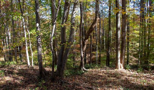 Photo #6 of Off Yeatts Store Rd, Java, VA 7.6 acres