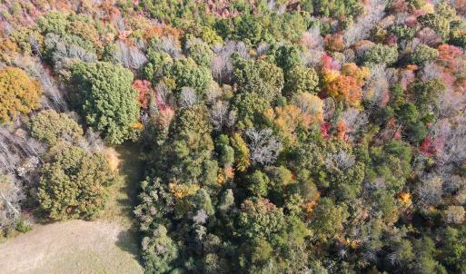 Photo #7 of Off Yeatts Store Rd, Java, VA 7.6 acres