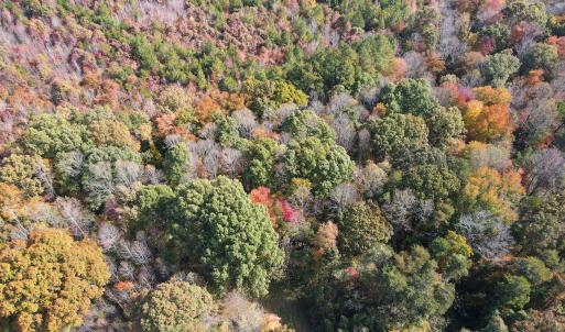 Photo #8 of Off Yeatts Store Rd, Java, VA 7.6 acres