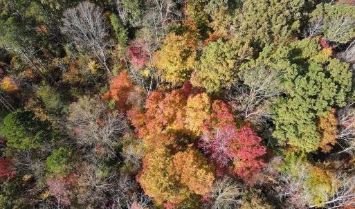 Photo #22 of Off Yeatts Store Rd, Java, VA 7.6 acres