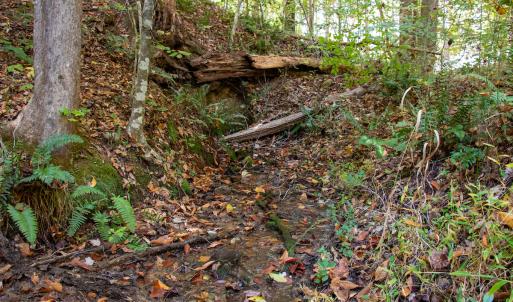Photo #25 of Off Yeatts Store Rd, Java, VA 7.6 acres