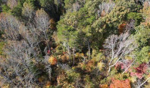 Photo #26 of Off Yeatts Store Rd, Java, VA 7.6 acres