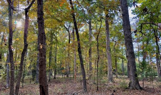Photo #11 of 114 Candor Oaks Drive, New London, NC 0.5 acres