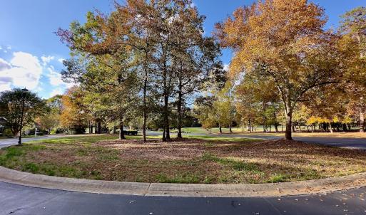 Photo #14 of 114 Candor Oaks Drive, New London, NC 0.5 acres