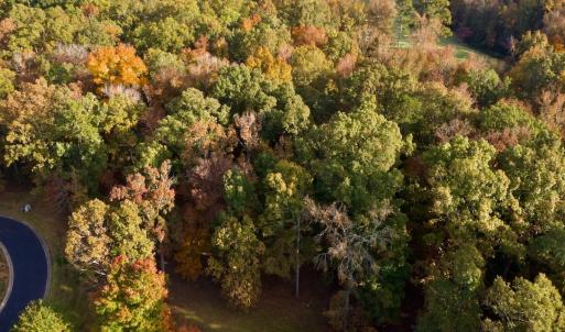 Photo #17 of 114 Candor Oaks Drive, New London, NC 0.5 acres
