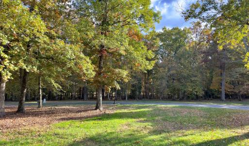 Photo #3 of 114 Candor Oaks Drive, New London, NC 0.5 acres
