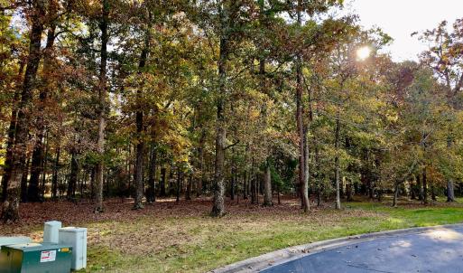 Photo #4 of 114 Candor Oaks Drive, New London, NC 0.5 acres