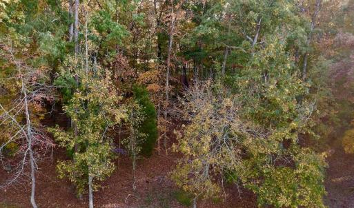 Photo #5 of 114 Candor Oaks Drive, New London, NC 0.5 acres