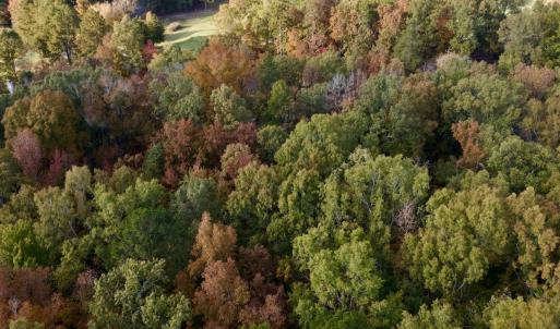Photo #6 of 114 Candor Oaks Drive, New London, NC 0.5 acres