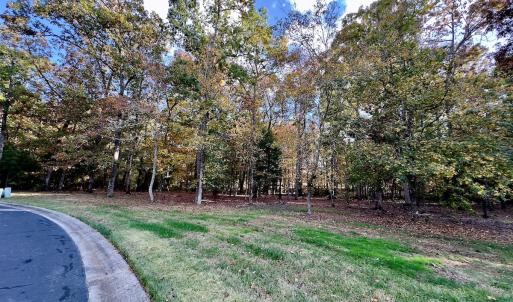 Photo #7 of 114 Candor Oaks Drive, New London, NC 0.5 acres
