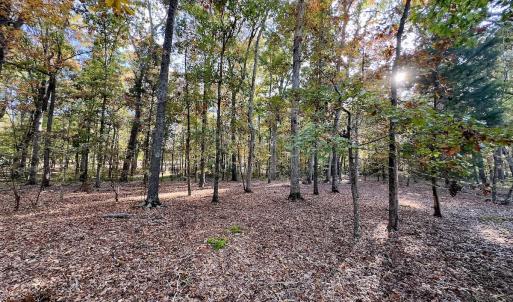 Photo #8 of 114 Candor Oaks Drive, New London, NC 0.5 acres