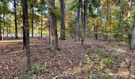 Photo #9 of 114 Candor Oaks Drive, New London, NC 0.5 acres