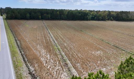 Photo #11 of Off NC 55 Hwy, Merritt, NC 13.7 acres