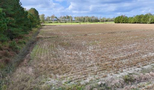 Photo #12 of Off NC 55 Hwy, Merritt, NC 13.7 acres