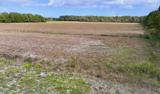 Photo #13 of Off NC 55 Hwy, Merritt, NC 13.7 acres