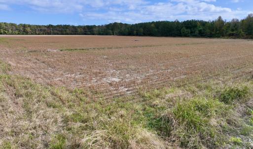 Photo #14 of Off NC 55 Hwy, Merritt, NC 13.7 acres