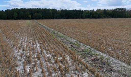 Photo #16 of Off NC 55 Hwy, Merritt, NC 13.7 acres