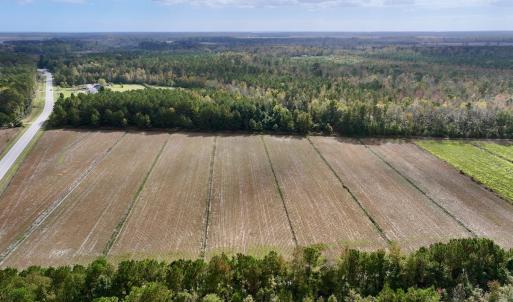 Photo #4 of Off NC 55 Hwy, Merritt, NC 13.7 acres