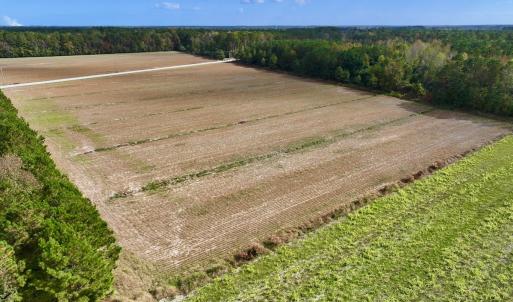 Photo #5 of Off NC 55 Hwy, Merritt, NC 13.7 acres