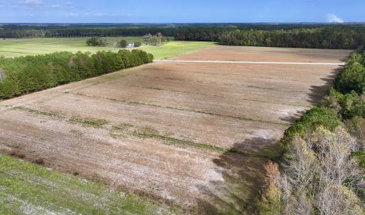 Photo #7 of Off NC 55 Hwy, Merritt, NC 13.7 acres