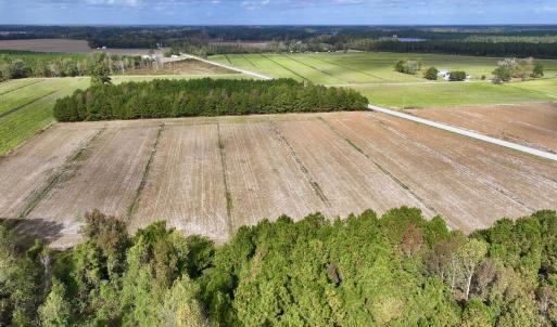 Photo #8 of Off NC 55 Hwy, Merritt, NC 13.7 acres