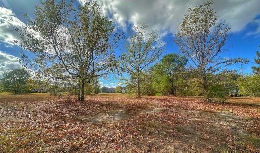 Photo #28 of SOLD property in 137 Legacy Pt, Wallace, NC 0.3 acres