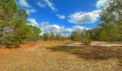 Photo #31 of SOLD property in 137 Legacy Pt, Wallace, NC 0.3 acres
