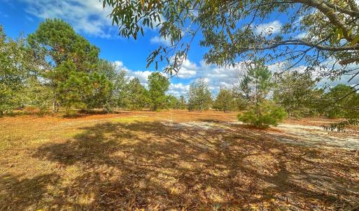 Photo #33 of SOLD property in 137 Legacy Pt, Wallace, NC 0.3 acres