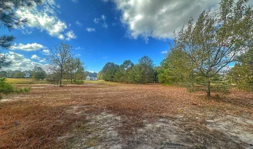 Photo #34 of SOLD property in 137 Legacy Pt, Wallace, NC 0.3 acres