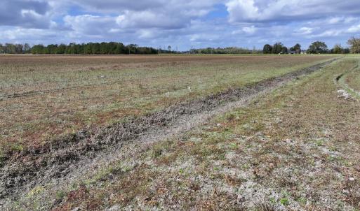 Photo #13 of SOLD property in NC 55 Hwy, Merritt, NC 16.3 acres