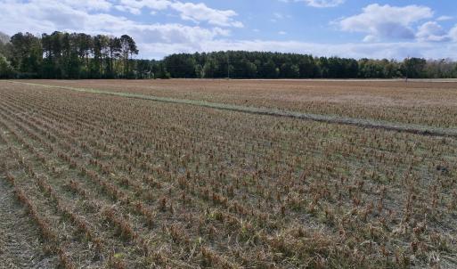 Photo #14 of SOLD property in NC 55 Hwy, Merritt, NC 16.3 acres