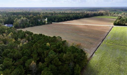 Photo #6 of SOLD property in NC 55 Hwy, Merritt, NC 16.3 acres