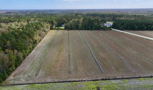 Photo #7 of SOLD property in NC 55 Hwy, Merritt, NC 16.3 acres