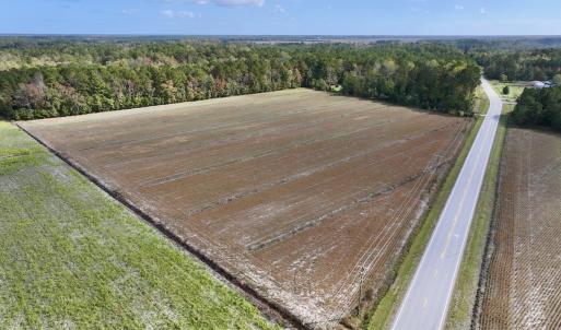 Photo #8 of SOLD property in NC 55 Hwy, Merritt, NC 16.3 acres