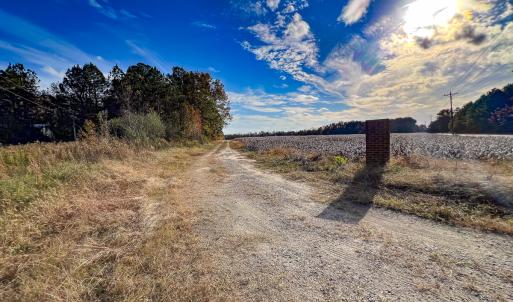 Photo #3 of SOLD property in Off Martin Luther King Hwy, Waverly, VA 77.0 acres