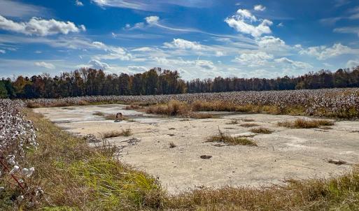 Photo #7 of SOLD property in Off Martin Luther King Hwy, Waverly, VA 77.0 acres